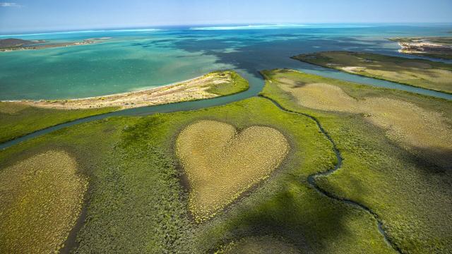 Survol du coeur de Voh et de la mangrove avec vue sur le lagon de Nouvelle-Calédonie.